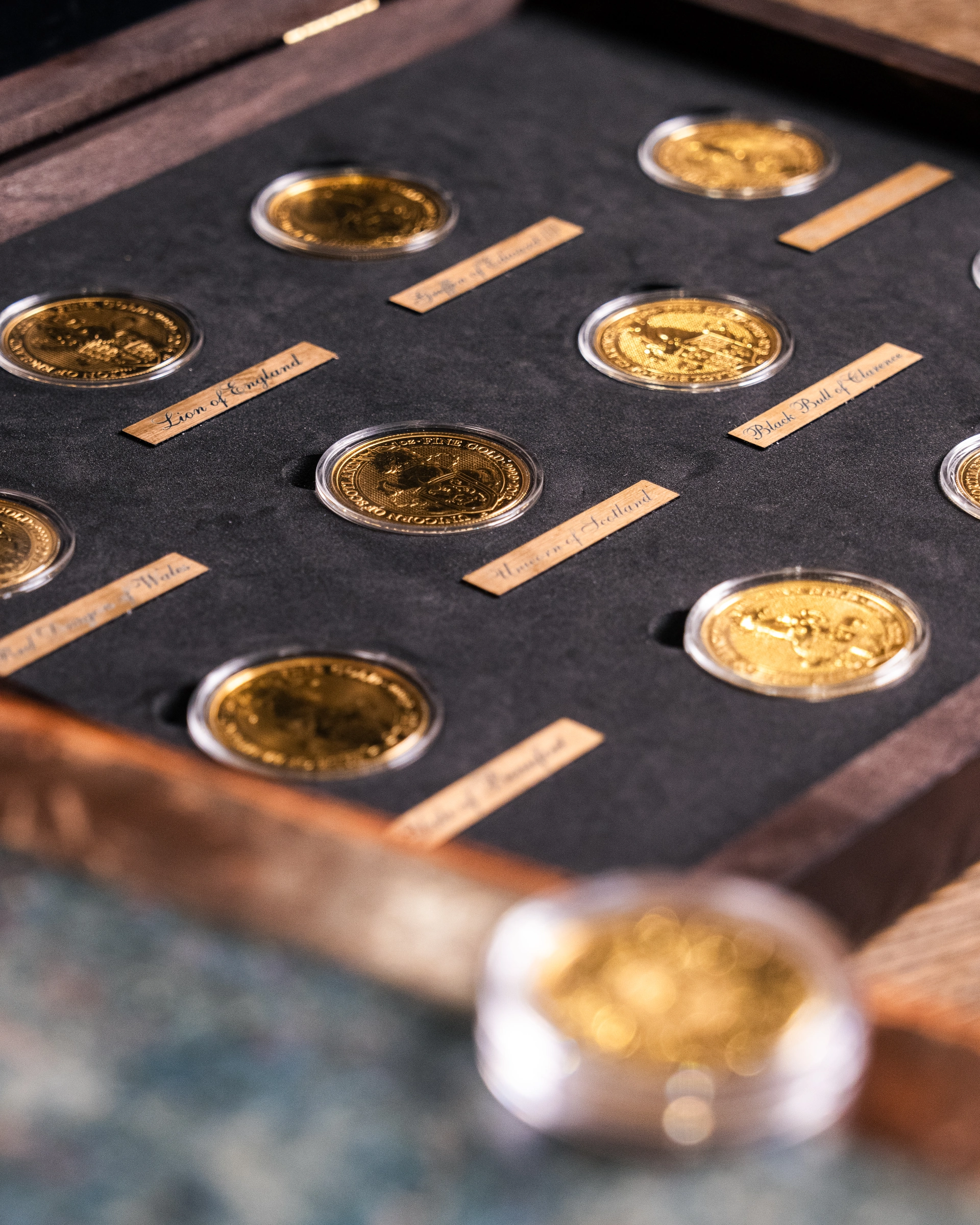 Close-up of gold coins arranged in a presentation case